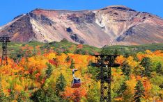 Leaf-peeping around the world: Where to see autumn's best colours