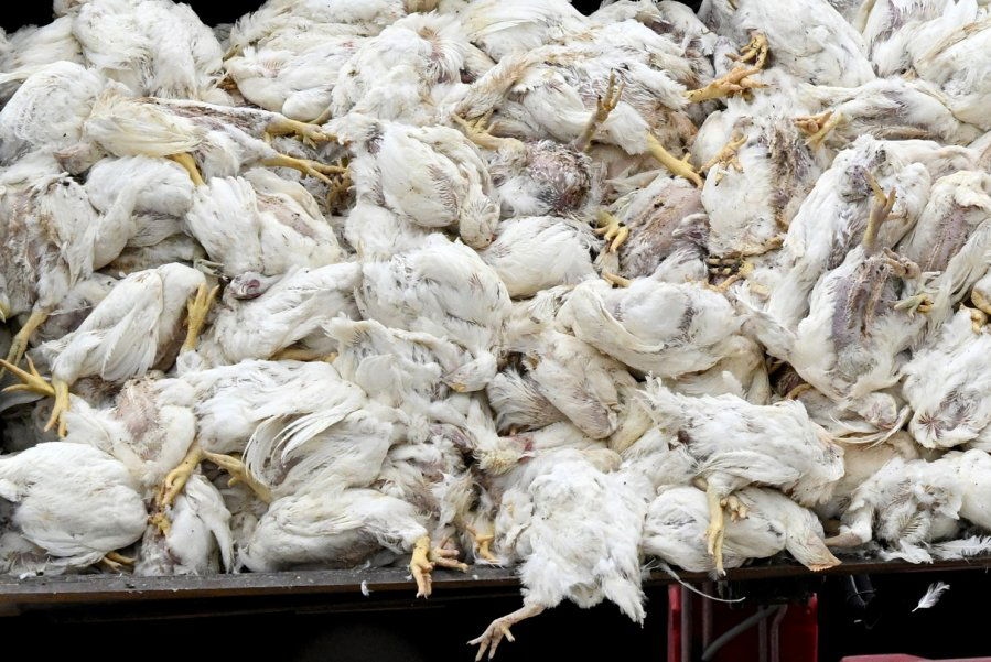 5b6cef83020308f2c3c58b47aad868ff