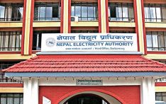 चार उद्योगले तिरे डेडिकेटेड तथा ट्रङ्क लाइनको महसुल