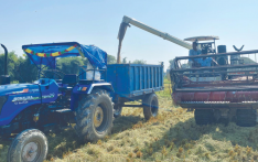 机械化变革推动东部特莱平原农业转型