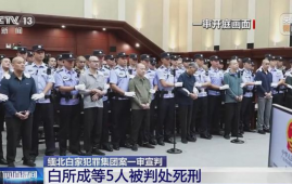 白家犯罪集团案一审宣判：白所成等5人被判死刑