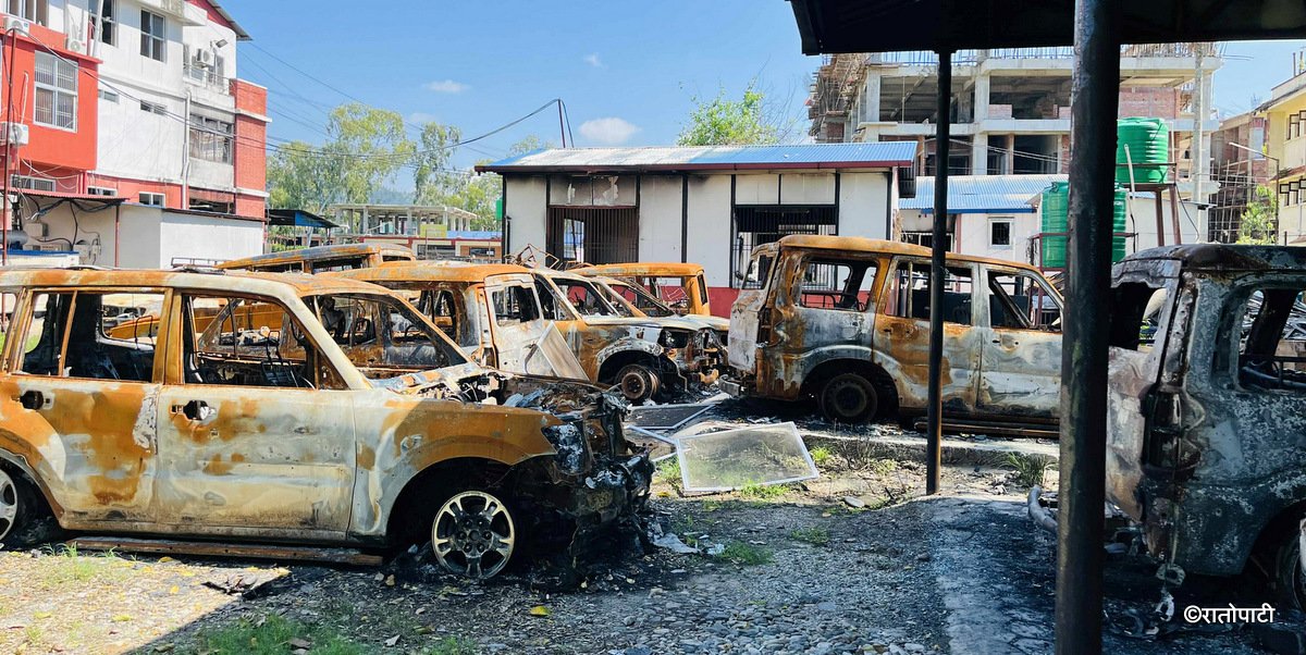 todfod-(1)_8w4u8eZUou