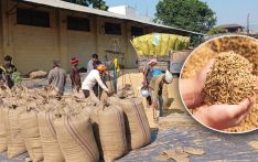 खाद्यले खरिद क्षमता बढाउनु पर्ने किसानको माग