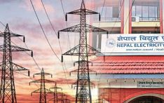 सबै उद्योगमा जोडियो लाइन