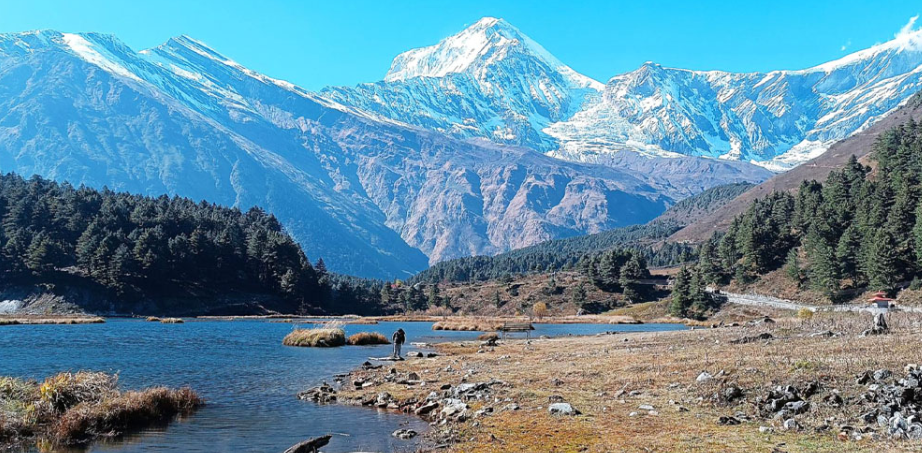 ScreenShot_2025-11-17_093953_285