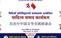 中尼文学交流座谈会在加德满都举行：共筑文学翻译与文明互鉴之桥