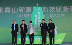蕲春有机茶产业交流会开幕 科技赋能千年茶乡闯新路