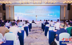 聚焦侨海特色 致公党杭州市委会绘就对外联络新图景