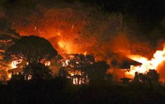 Fire damages 170 homes in Japan