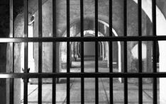 पाकिस्तान र इराकको जेलबाट ५६० जना अफगान कैदी जेल मुक्त भई स्वदेश फिर्ता