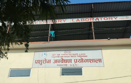 Pork sale banned in Parasi after finding African swine fever infection