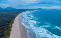 अस्ट्रेलियामा शार्कको आक्रमणबाट एक महिलाको मृत्यु