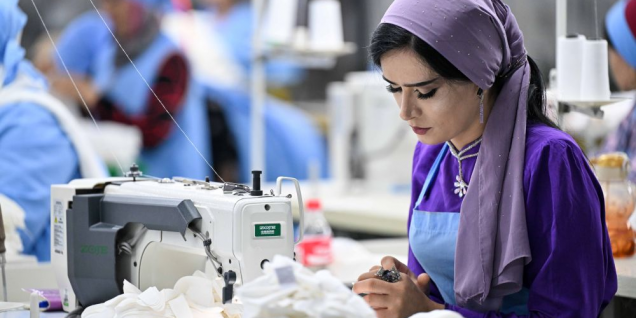 十余年奋斗 中塔农业合作助当地百姓找到幸福之路