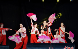 巴西利美拉举办“中国文化日”