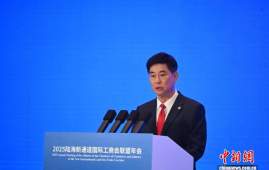 新加坡中国商会会长：新中经贸与人文交流加速深化