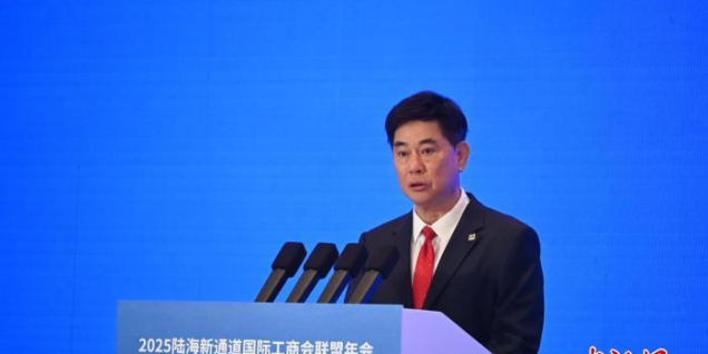 新加坡中国商会会长：新中经贸与人文交流加速深化