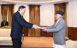 五位驻尼泊尔非常驻大使向总统递交国书