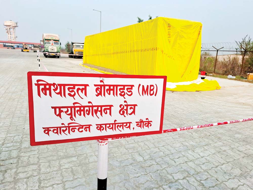 mithaeel-bromod-fiumigation-garindai