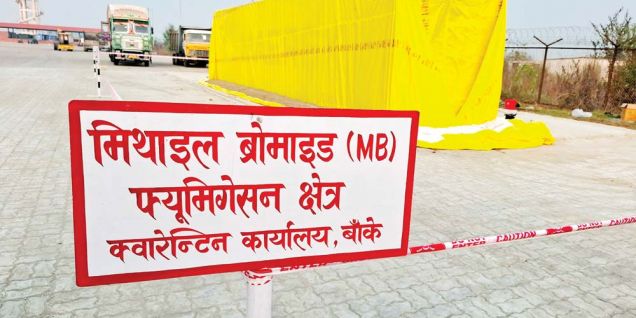 पचास वर्षमा ऐन कार्यान्वयन , सल्लाको आँख्लाको निर्यात सुरु