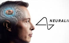 马斯克称脑机接口设备将于2026年实现大规模生产