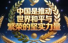 “中国是推动世界和平与繁荣的坚实力量”