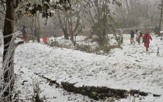 Second Snowfall of the season in Pathibhara