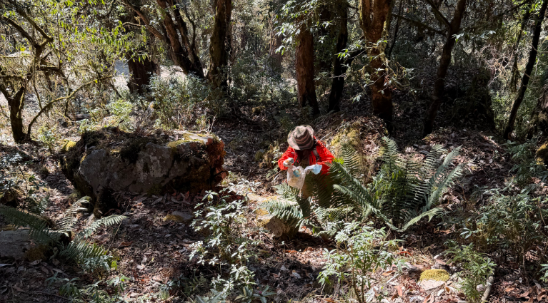 ScreenShot_2026-01-05_092356_838