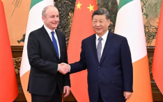 习近平会见爱尔兰总理马丁