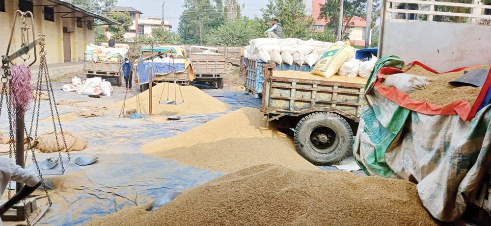 dhan-kharid-photo-1-(1)