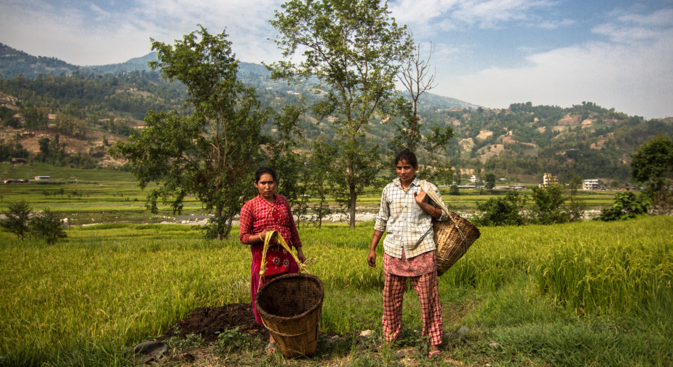 屏幕截图 2026-01-11 140707