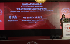 第四届中尼媒体峰会：陈汶鑫发言
