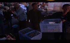 第四届中尼媒体峰会：山海情反馈影响