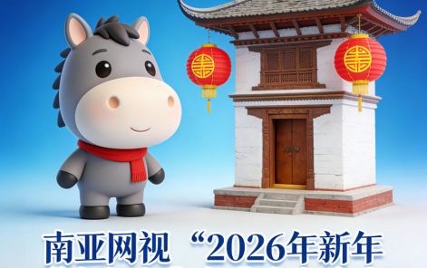 南亚网视“2026年新年恭贺视频”免费发布启事（面向在尼中资机构及企业）