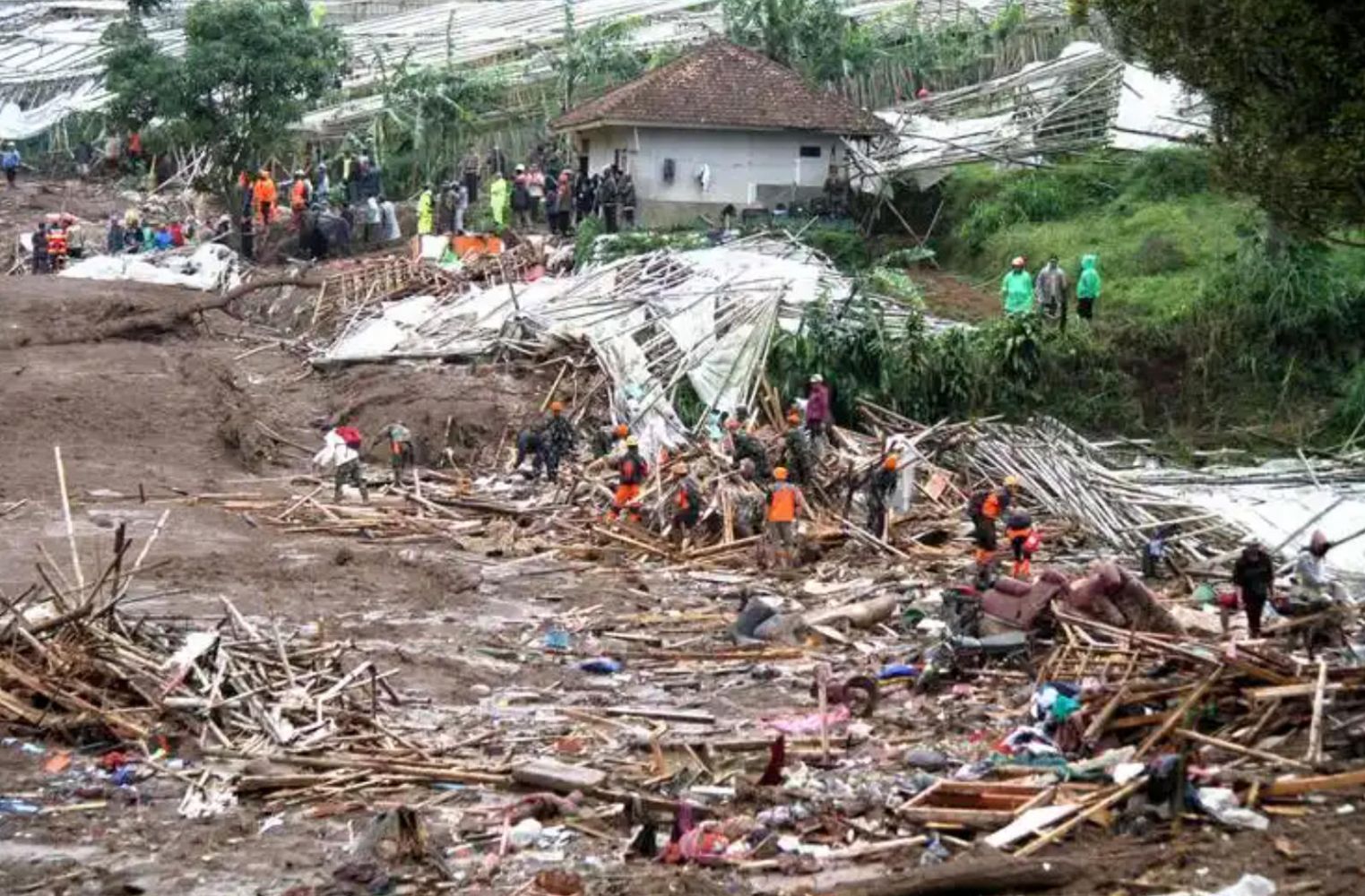 ScreenShot_2026-01-25_135642_146