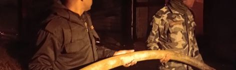 尼泊尔赫陶达市肥皂厂仓库失火 预估损失超1亿美元