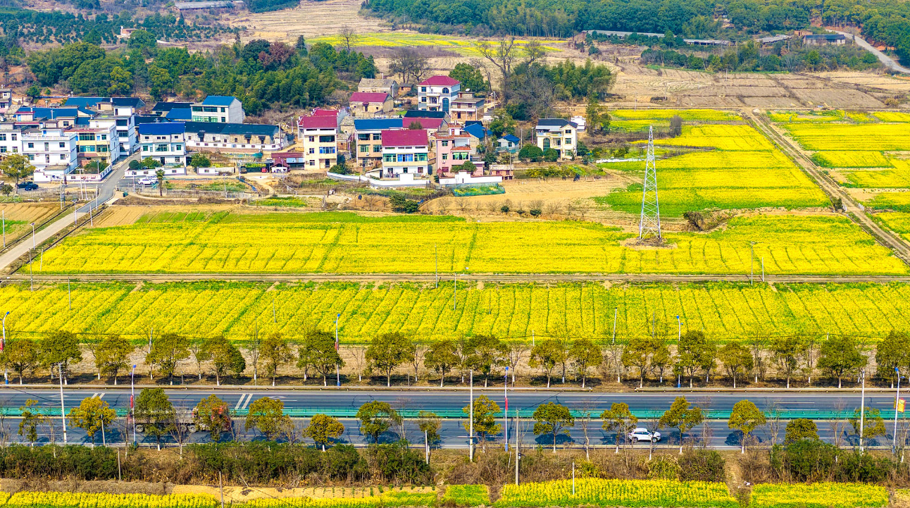 屏幕截图 2026-02-04 140709