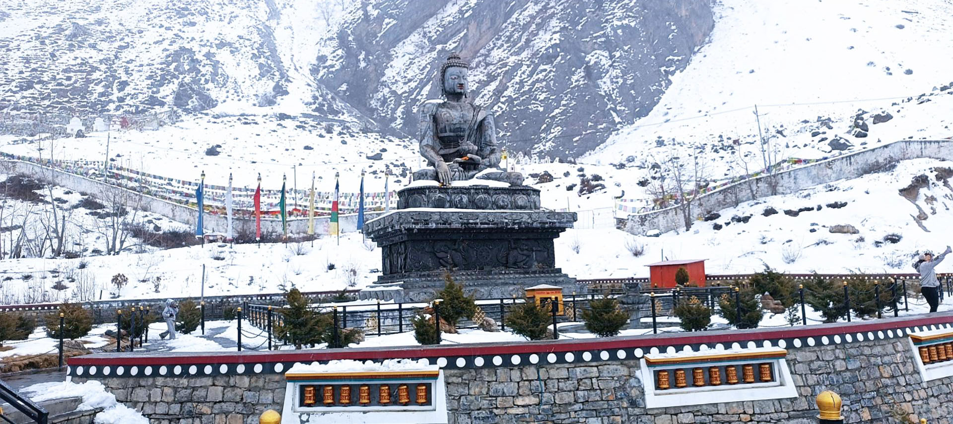 202602040826-d9917af8-0280-4736-b347-4988b2817686_medium-copy