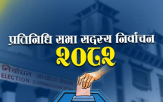 पैँतिस वर्षमुनिका एघार युवा चुनावी प्रतिस्पर्धामा