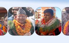 नयाँ अनुहारबिच प्रतिस्पर्धा