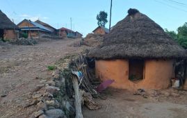 हराउँदै परम्परागत कुँडुले घर