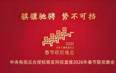 连续四年授权！南亚网视邀您共赏2026年央视春晚
