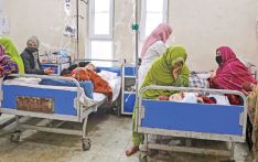 Afghanistan faces catastrophic hunger crisis as aid cuts