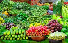 यस्तो छ आजका लागि कृषिउपजको थोक मूल्य