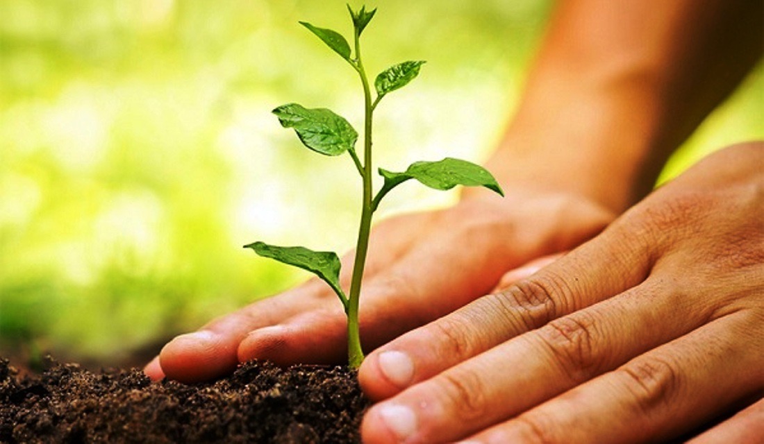 1E5CCB35-AAE6-4481-950B-1DE6EABCB7FF