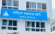 निर्वाचनको पछिल्लो मतगणनाः ७० स्थानमा रास्वपा अगाडि