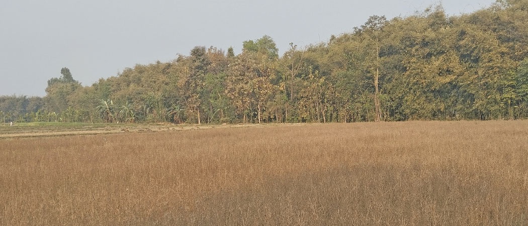 998A99FE-A46C-4188-87AD-673FE83FAF4F