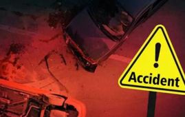 尼泊尔奇特旺发生人力车事故 4人遇难1人受伤