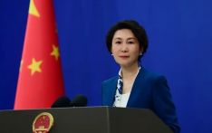 外交部发言人就尼泊尔联邦议会众议院选举答记者问