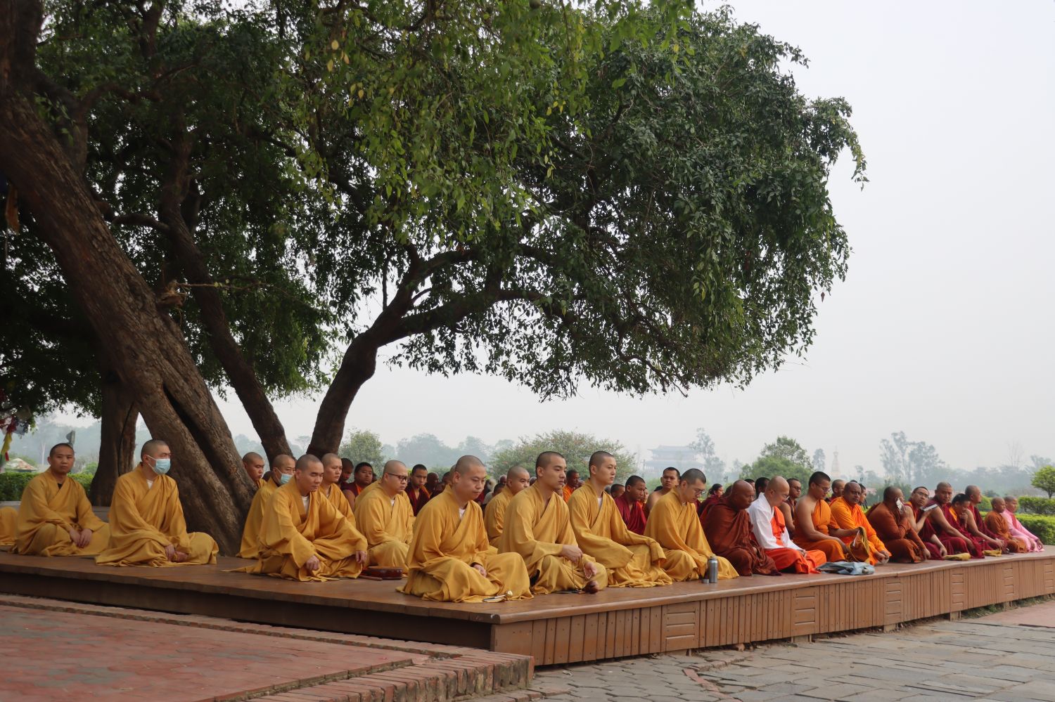 Image_20260320105135_99_15