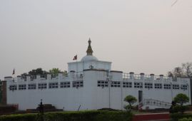 Meditation Program Highlights Spirit of Peace at Lumbini International Peace Festival